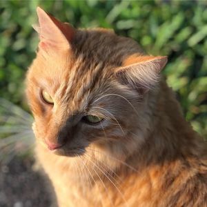 Meet your Posher, Lynn